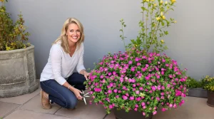 Cette petite vivace rose facile illumine bordures et pots tout l’été et transforme un jardin triste en scène ultra chic